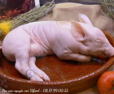 Phần thịt nào đắt nhất của con heo